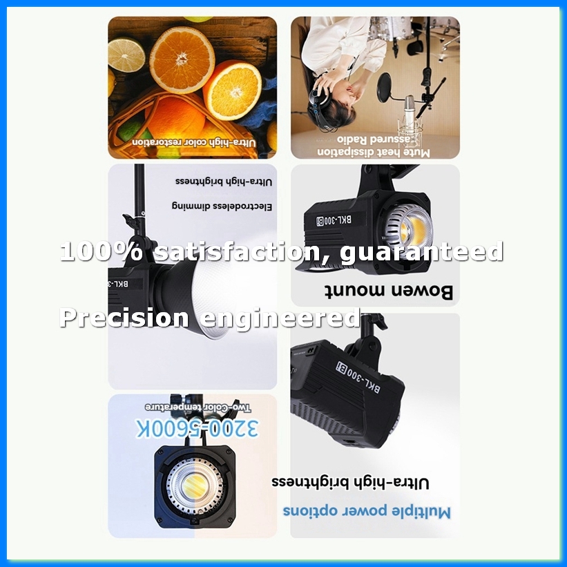 Photography Lighting Professional - 300W Bi LED 비디오 조명, 인물